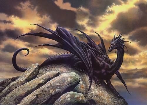 dragons