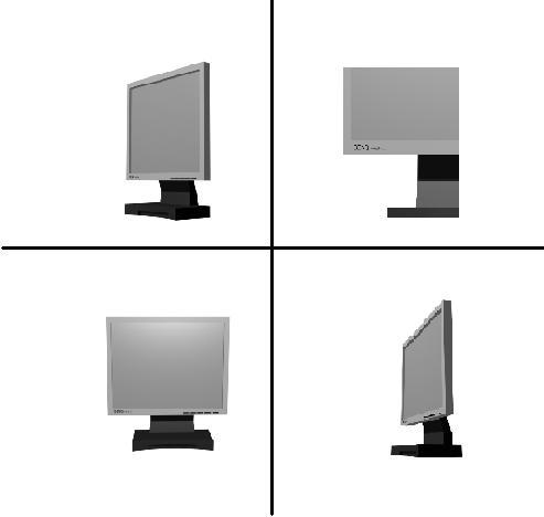 Мой моник