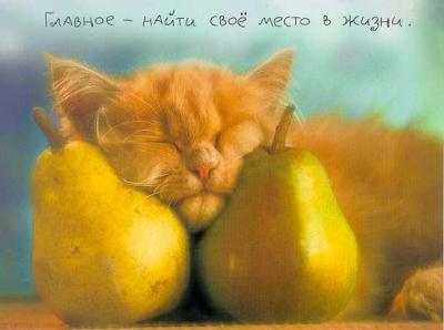 тут крутые картинки. мне нравиться эта комната