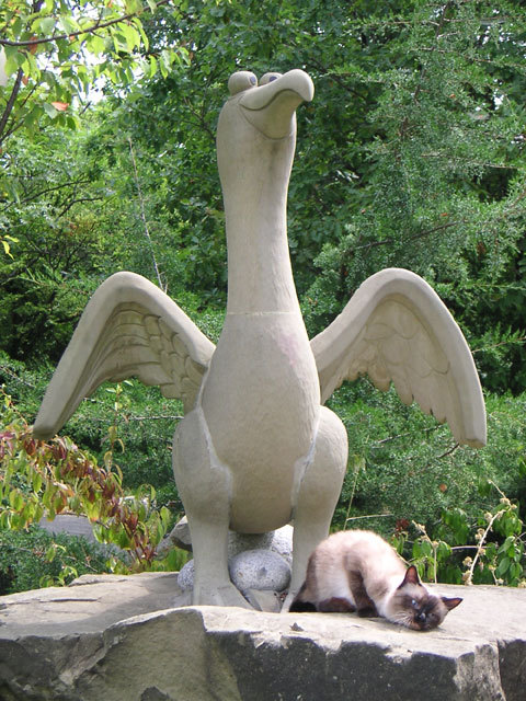 моя кошенция на морях))