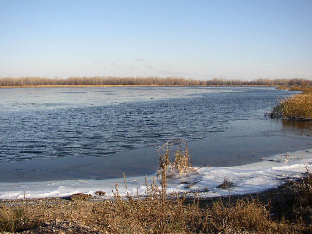 10 ноября 2007 г. Дальний Берег